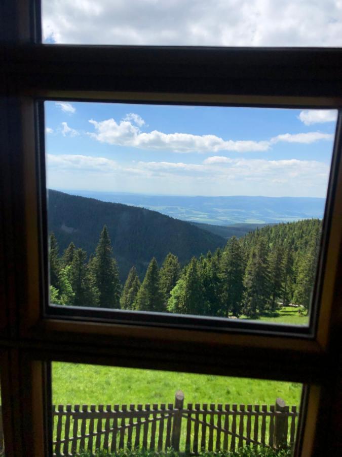 Apartament W Stroniu Stronie Slaskie Luaran gambar